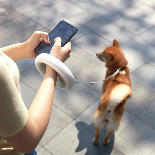 Smart Dog Collars Xiaomi Mengwangxing Pet Traction Rope Dog Automatic Retractable Tractor With Light 2.6m Pet Retractable Belt Best Find